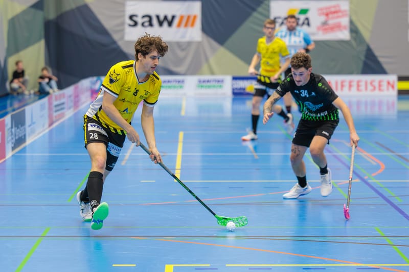 Gators treffen auf Tabellennachbar Glattal