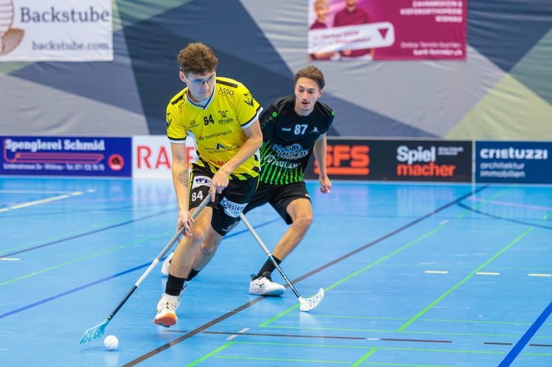 Gators gewinnen verdient gegen Tabellennachbar