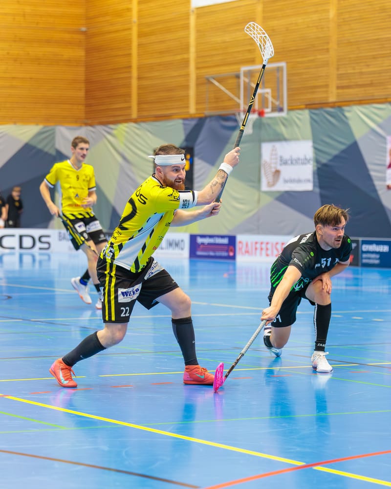 Gators starten mit Doppelrunde in Dezember