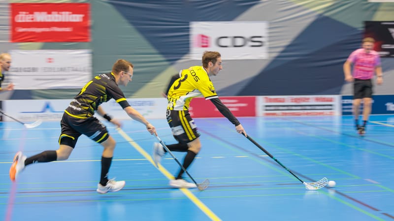 Gators schliessen Jahr mit Heimspiel ab