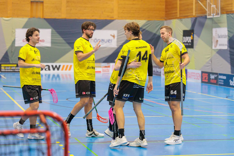 MS Team 1 vs. Bassersdorf Nürensdorf / Playoff Viertelfinal Spiel 1