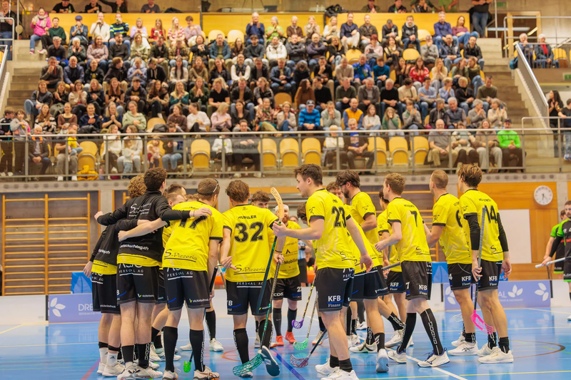 MS Team 1 vs. Bassersdorf Nürensdorf / Playoff Viertelfinal Spiel 3