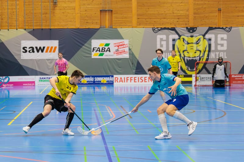 Gators-Herren starten mit Cup in neue Saison