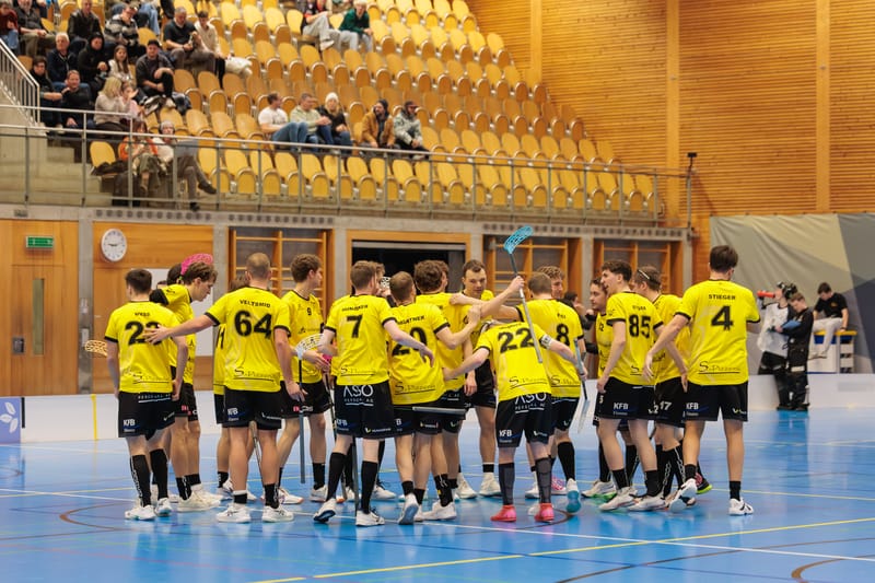 1. MS Herren 1 vs. Red Lions Frauenfeld