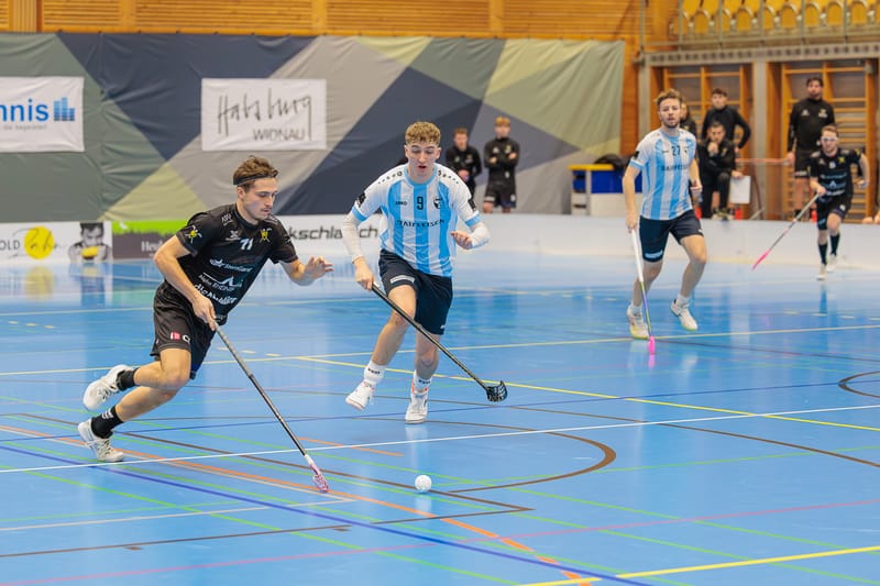 Gators starten mit Doppel-Heimrunde in Saison