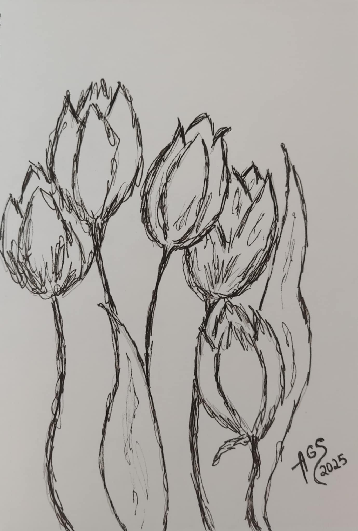 Florecer ©2026