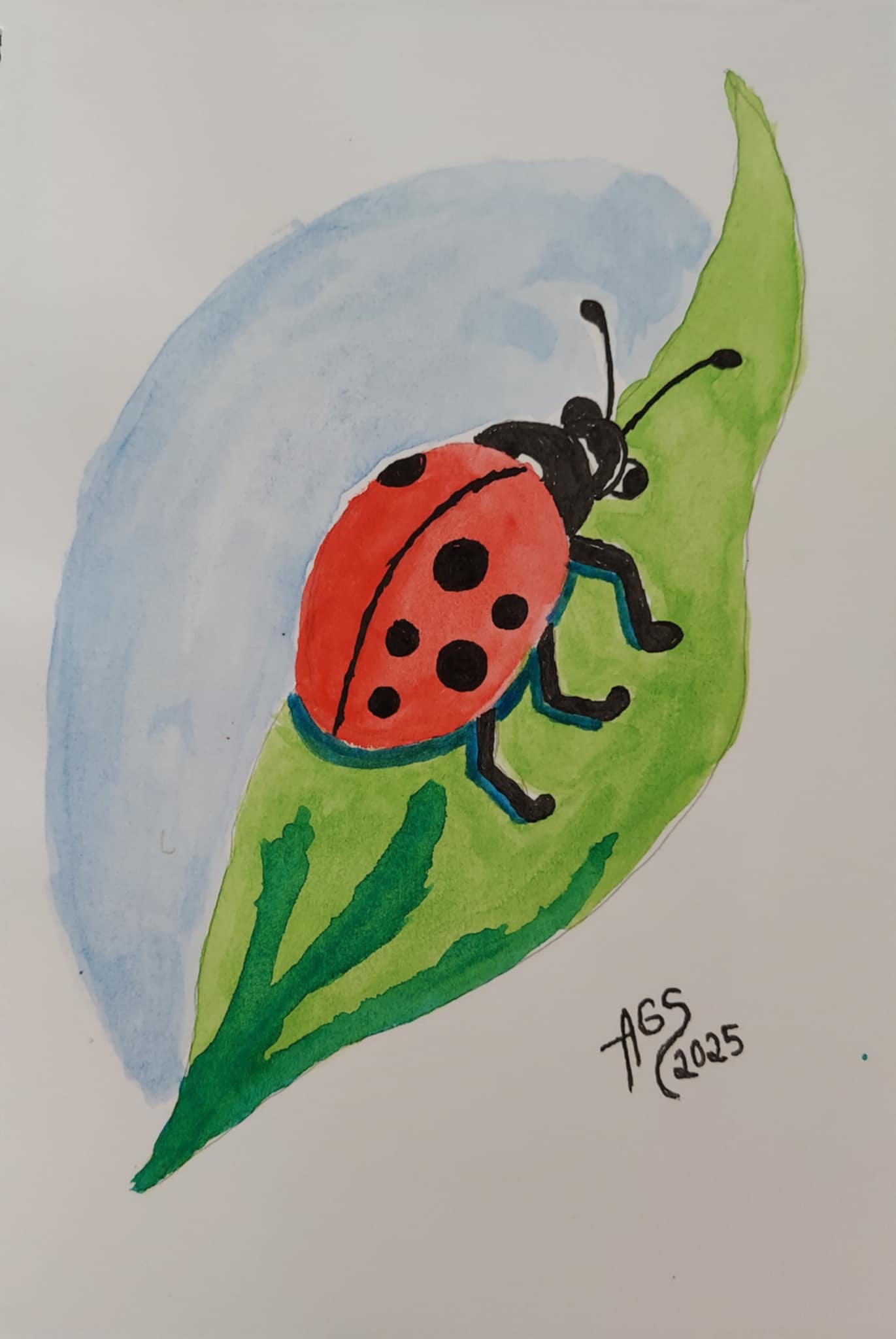 Ladybug ©2026