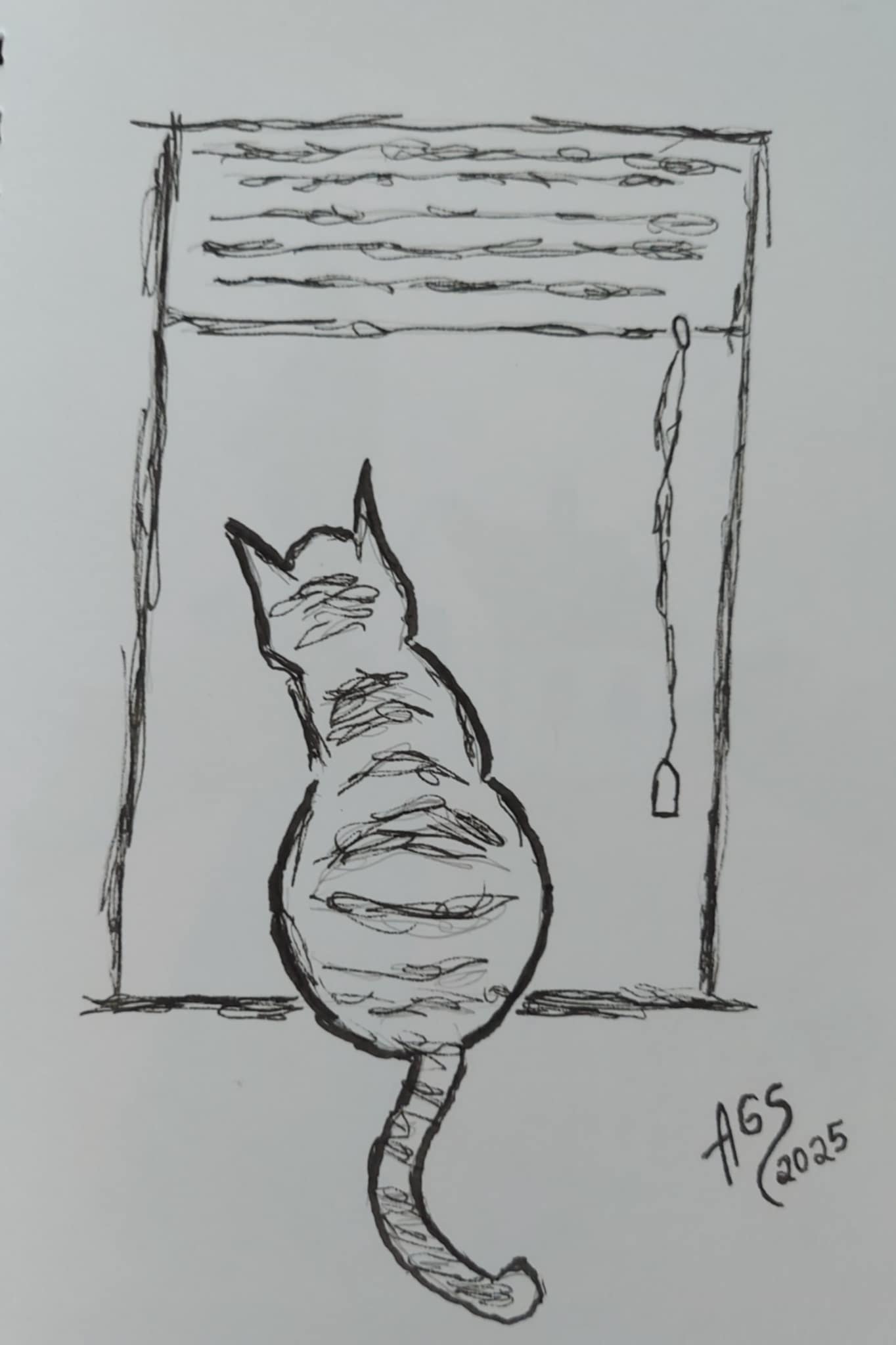 El curioso ©2026