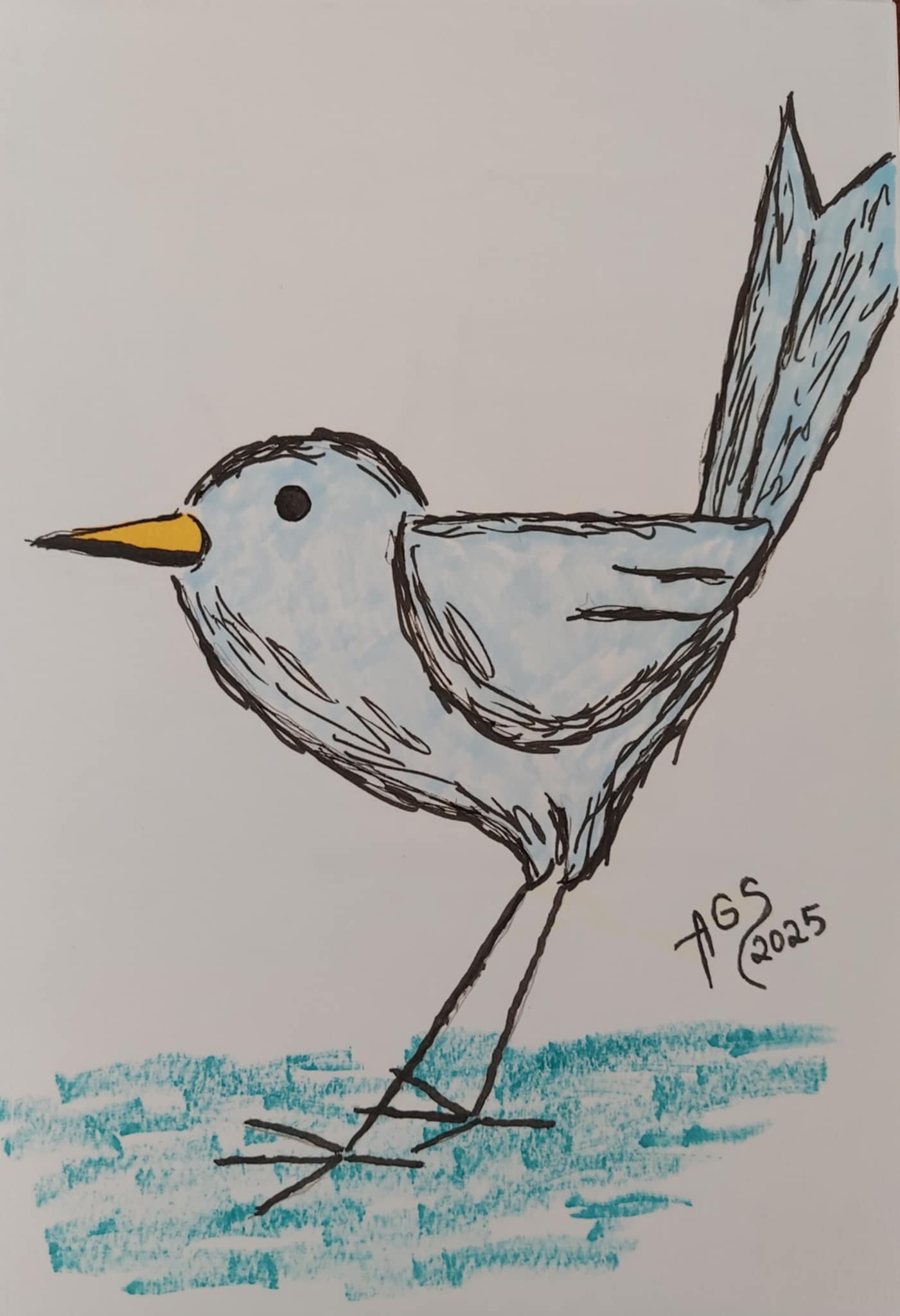 Pajaro azul ©2026