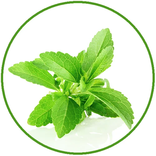 stevia.jpg (192 KB)