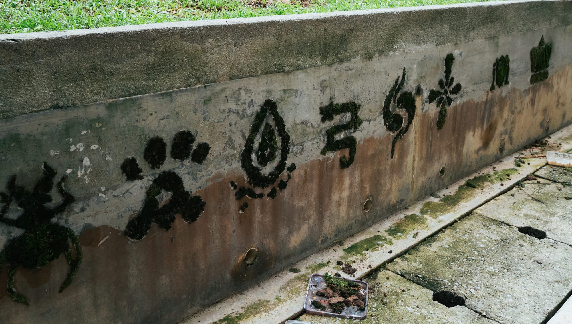 Moss Mural