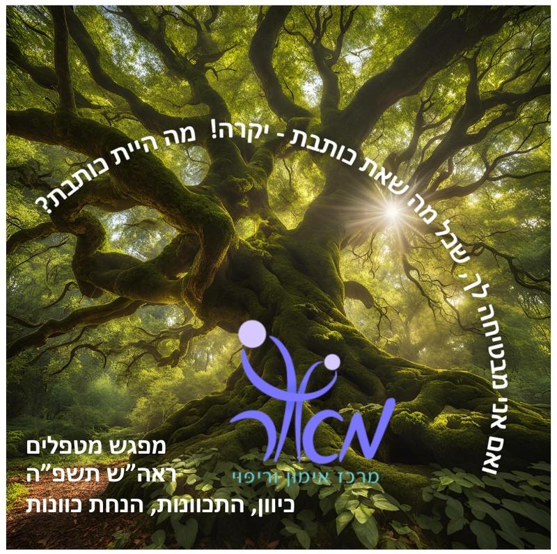 מפגש מטפלים חגיגי 'מאירים במאור' ראה"ש תשפ"ה 2024- 5 שנים למאור - עותק