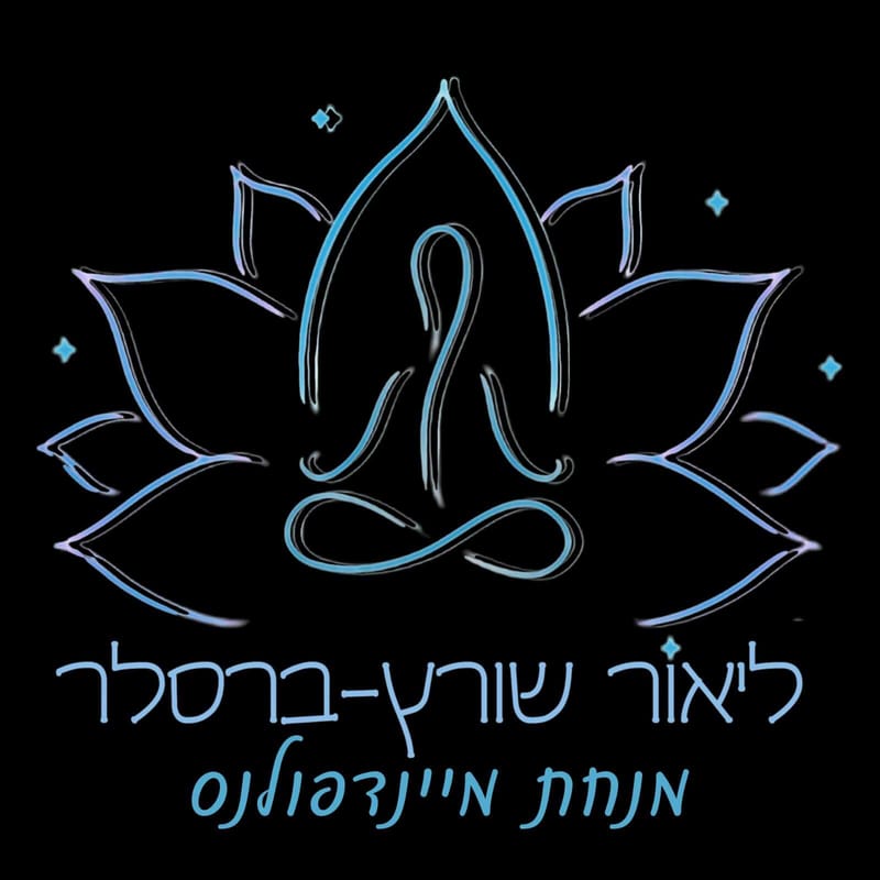 סדנת מיינדפולנס | ליאור שוורץ