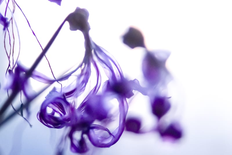 החוזקה שבכאב, להיות עצובה זה ממש בסדר | Live On Facebook | ניצן גולדשטיין ודליה ארוסי