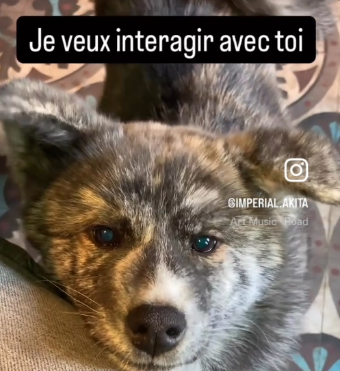 Analyse de l'inaction...