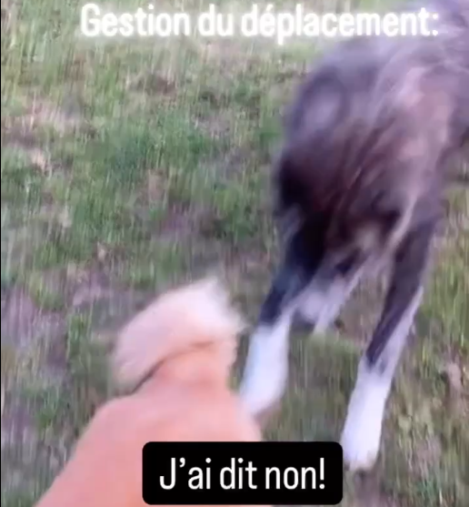 Shina et Vitchi...