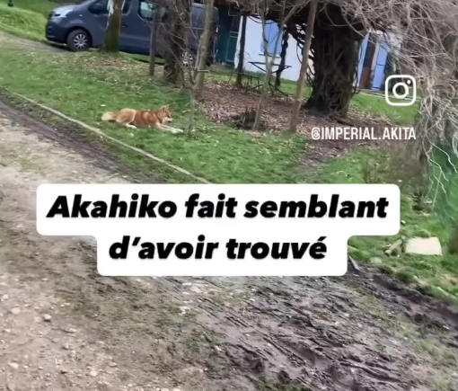 Akahiko vs Ori: partie 1