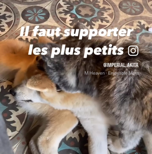 La hiérarchie et l'âge...