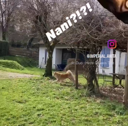Celui qui déplace l'autre l'emporte...