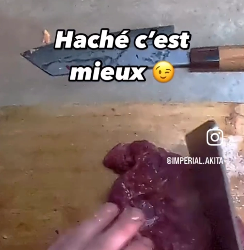 Recette d'un starter cru pour chiot Akita Inu