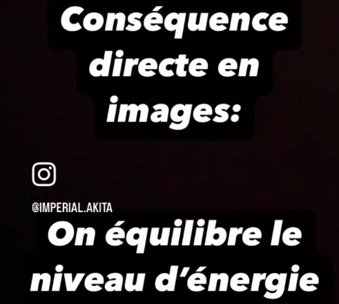 Akita Inu : atténuer la compétition instinctive