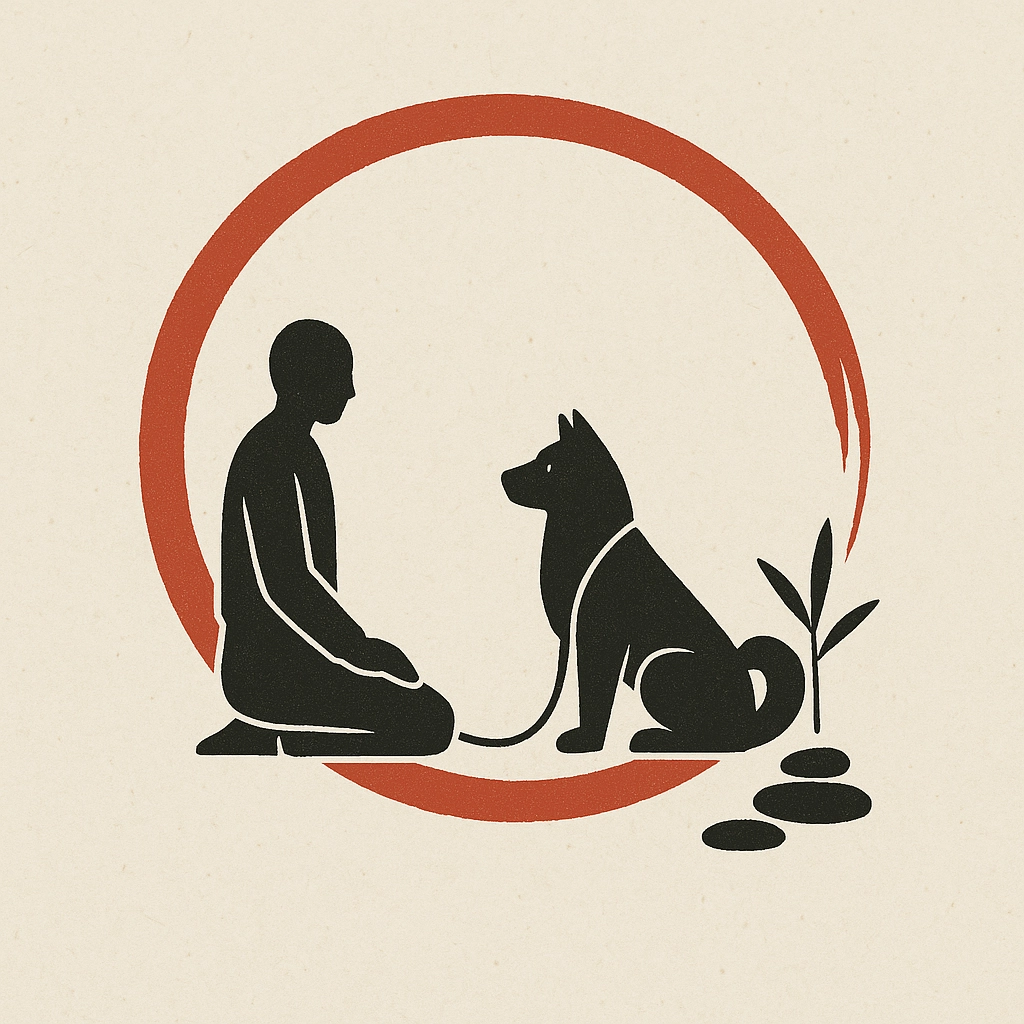 Rééducation de l'Akita Inu adulte