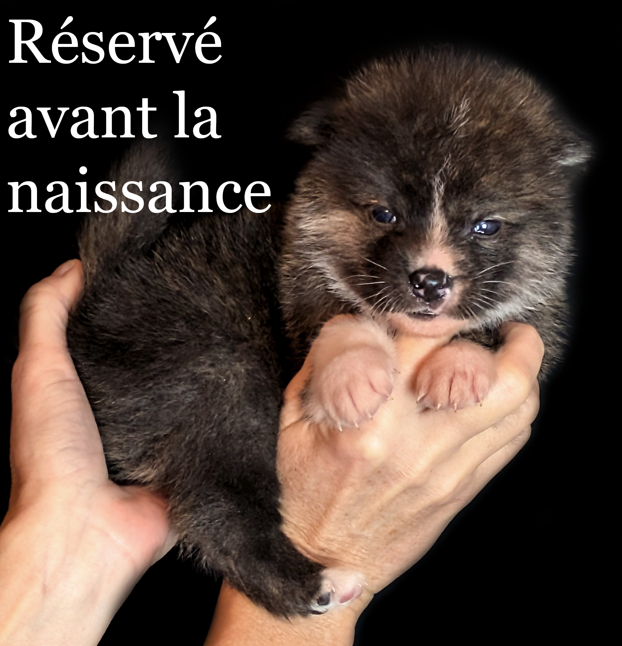 ♂ Né le 2 décembre 2025