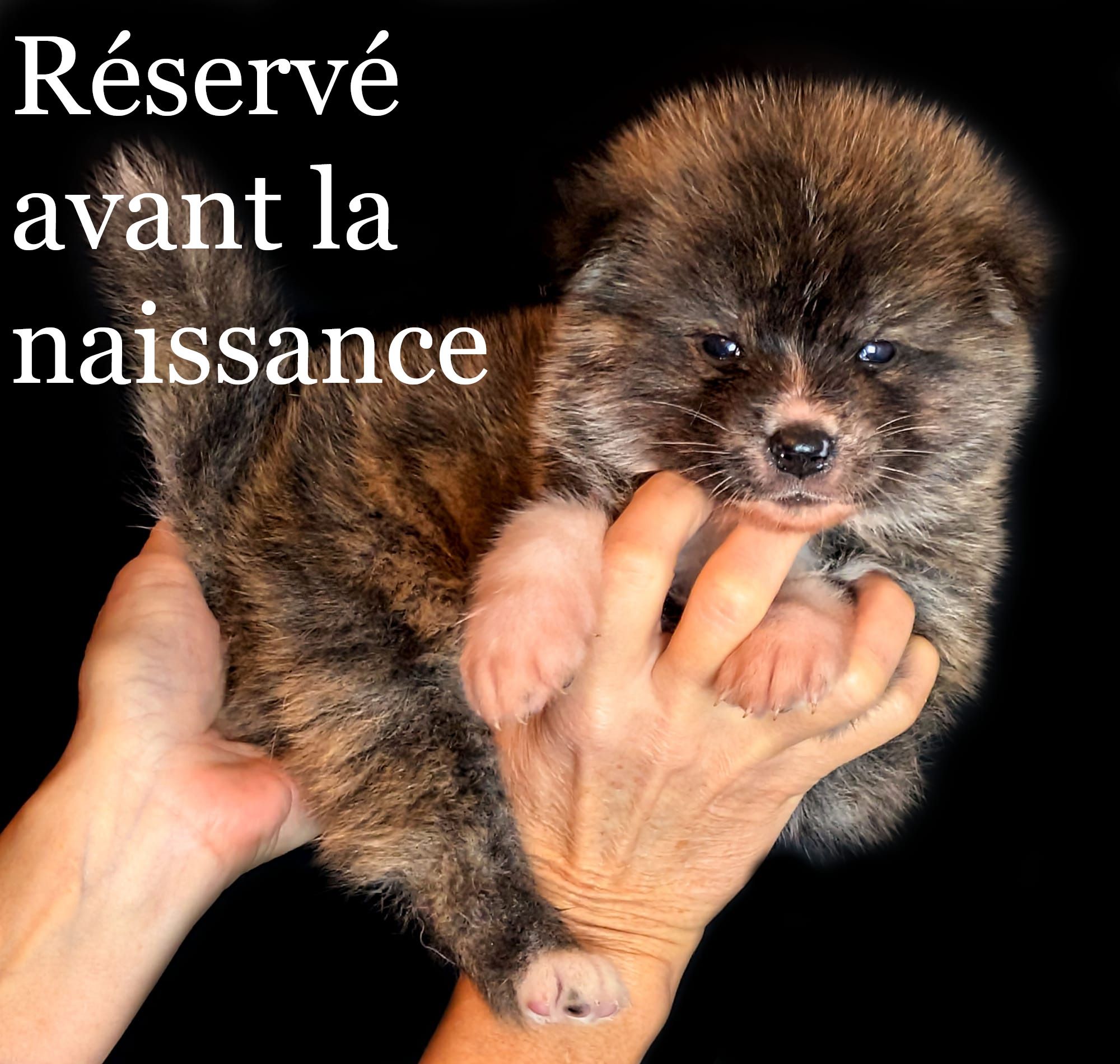 ♂ Né le 2 décembre 2025