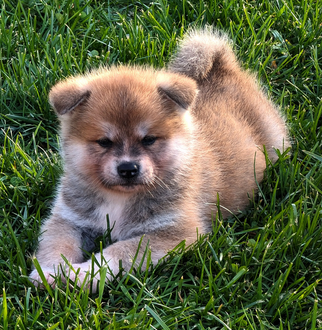 Premier mariage pour 2026 !