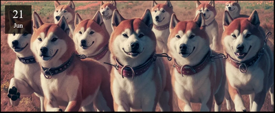 Photos de la balade d'élevage