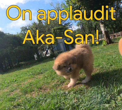 La plus belle cascade...