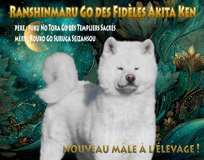 Nouvelles lignées à l'élevage!