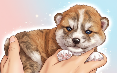 Portée de Shina à 2 semaines