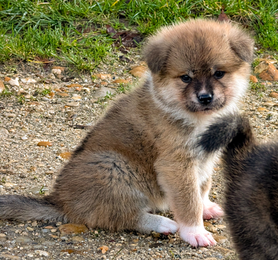 Première séance photo sous le soleil !