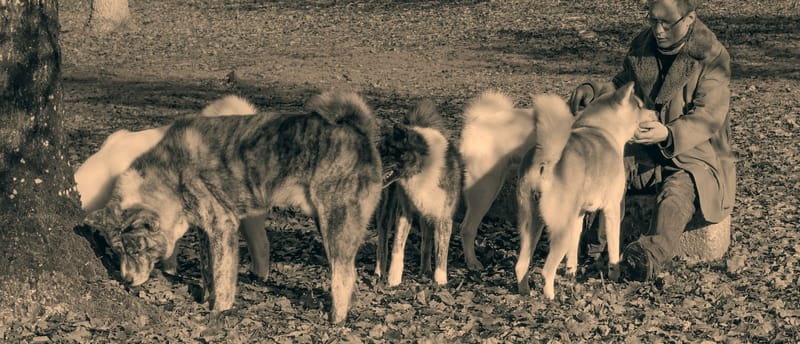 Son histoire commence ici... thumbnail