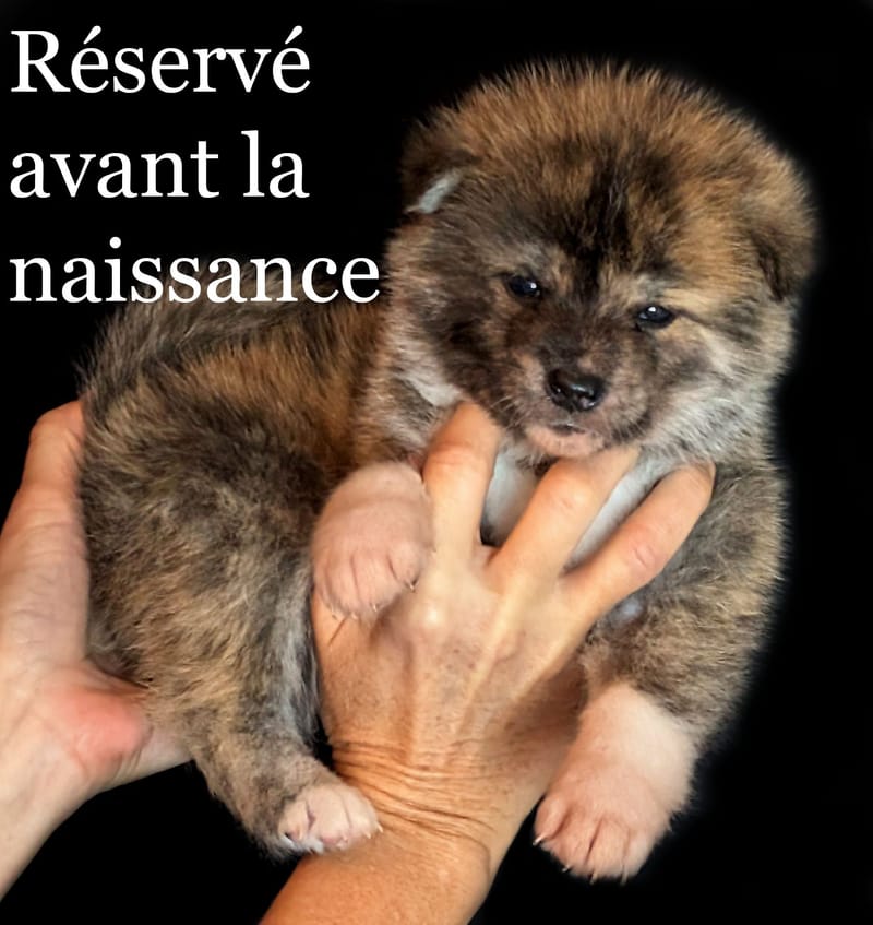 ♂ Né le 2 décembre 2025