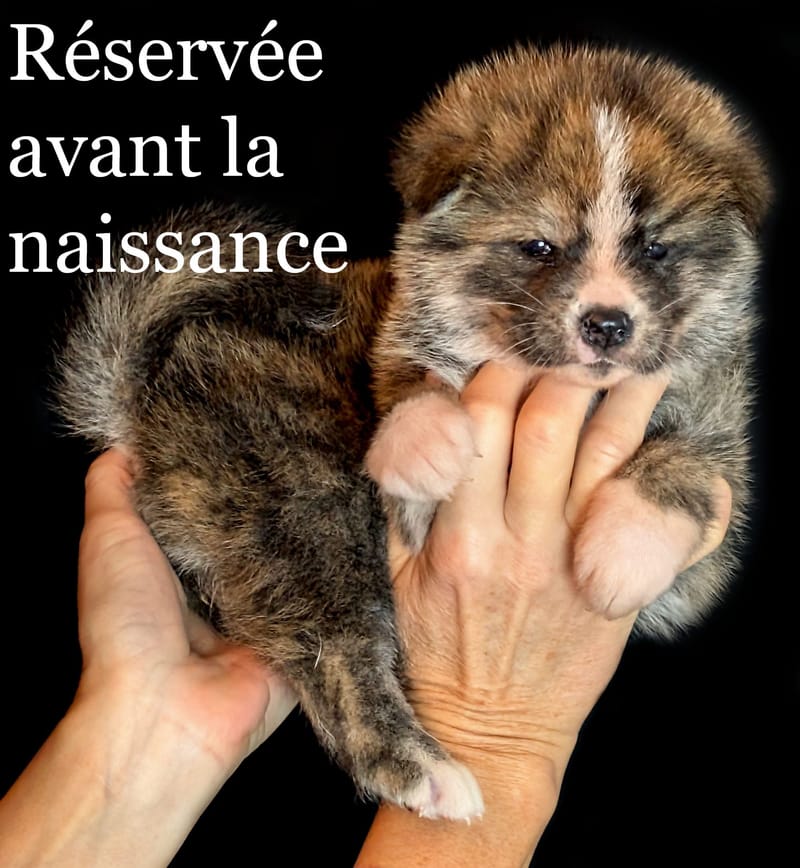 ♀ Née le 2 décembre 2025