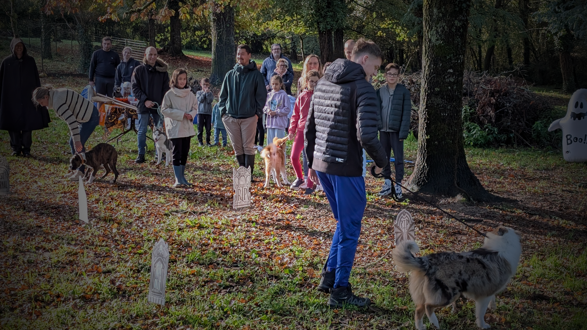 école du chiot avec de nombreux participants - akita imperial - montendre canin