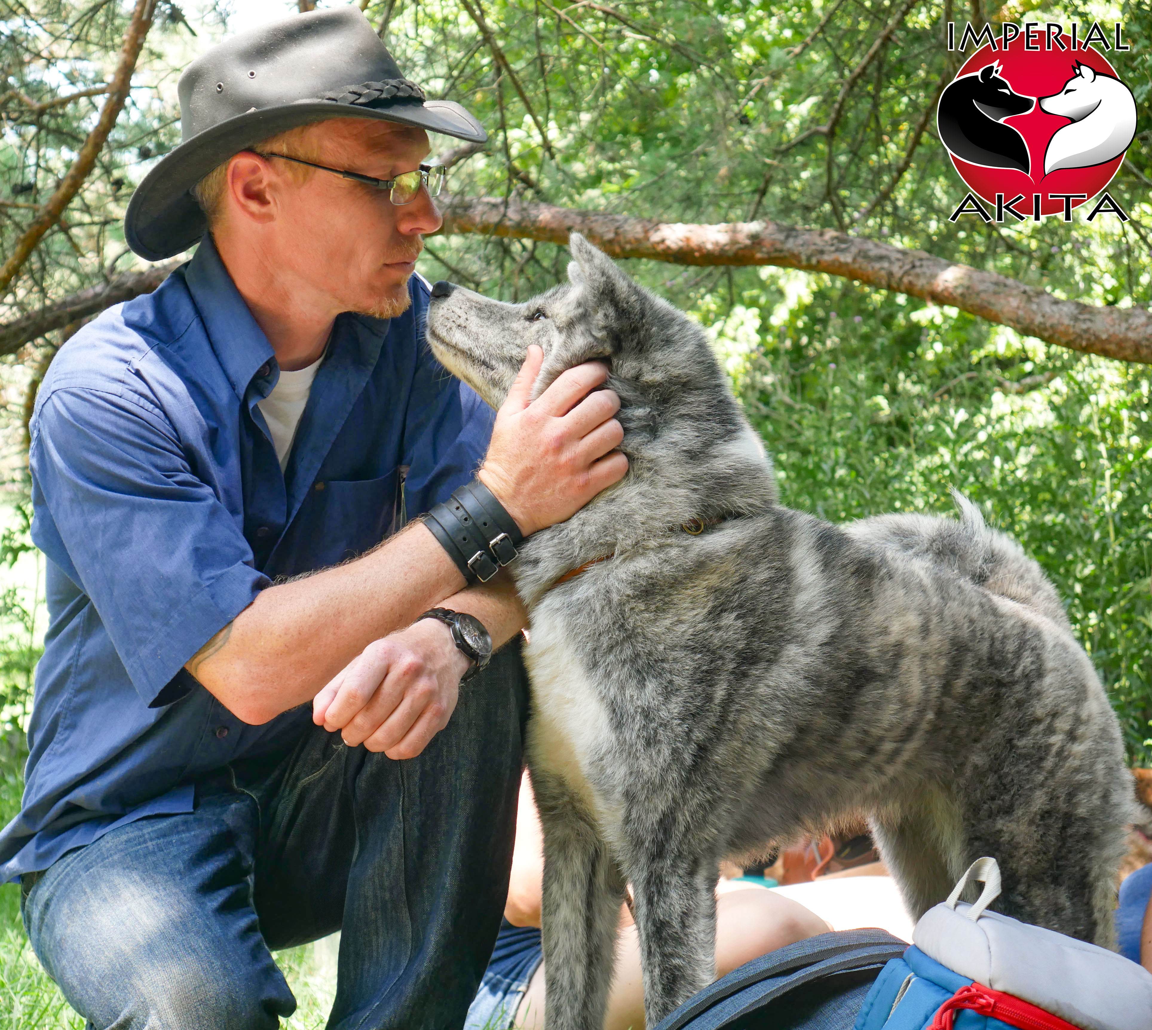 le Tai Sabaki Sensei en pleine discussion avec Kida Imperial Sun, jeune akita inu de 3 ans, au cours d'une balade collective organisée par akita imperial