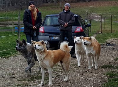 Céline et Loïc, fondateurs de l'élevage Akita Imperial avec leur meute