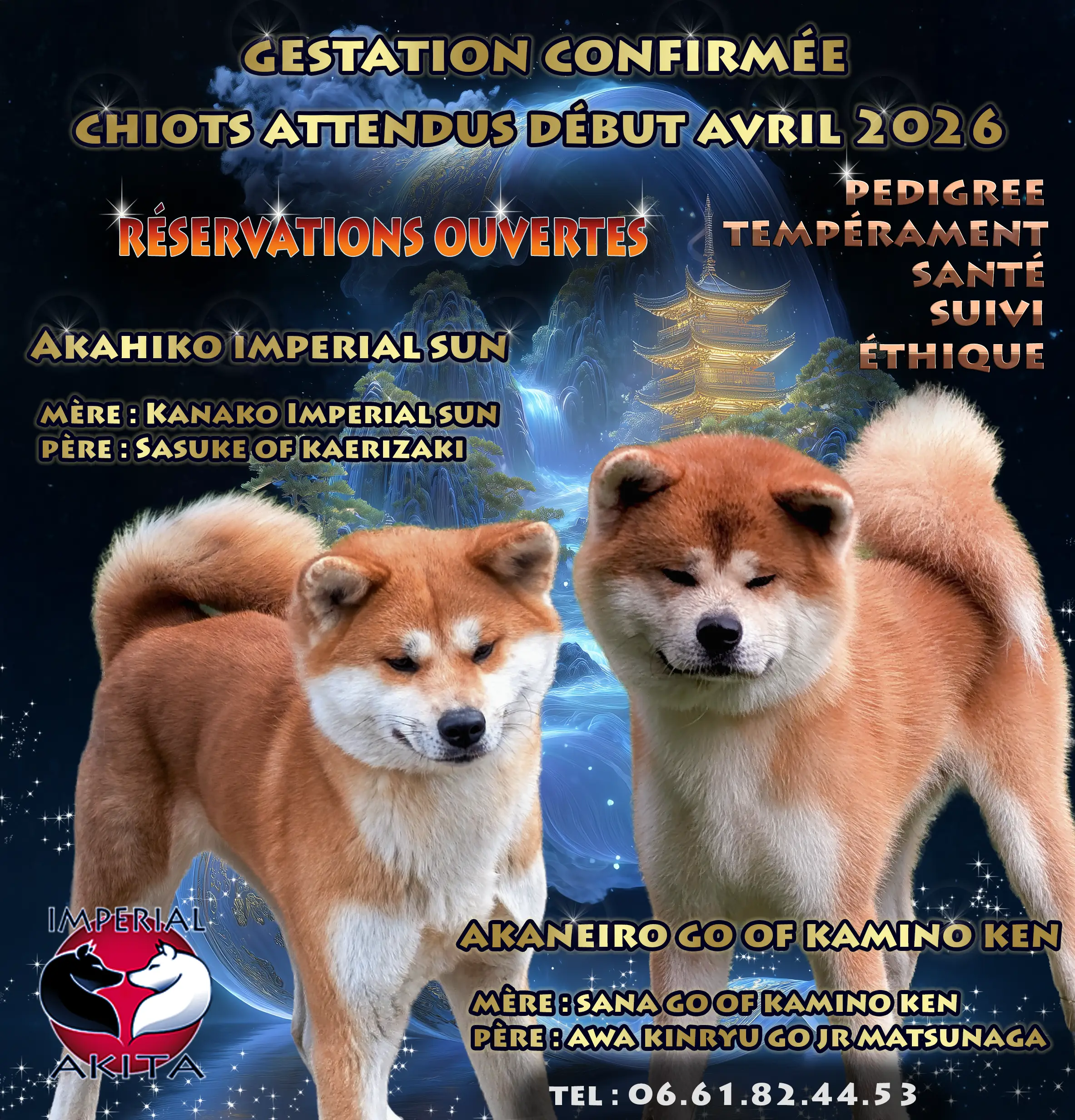 Annonce des prochaines portées par akita imperial, mariage Akaneiro go of Kamino Ken  et Akahiko Imperial Sun