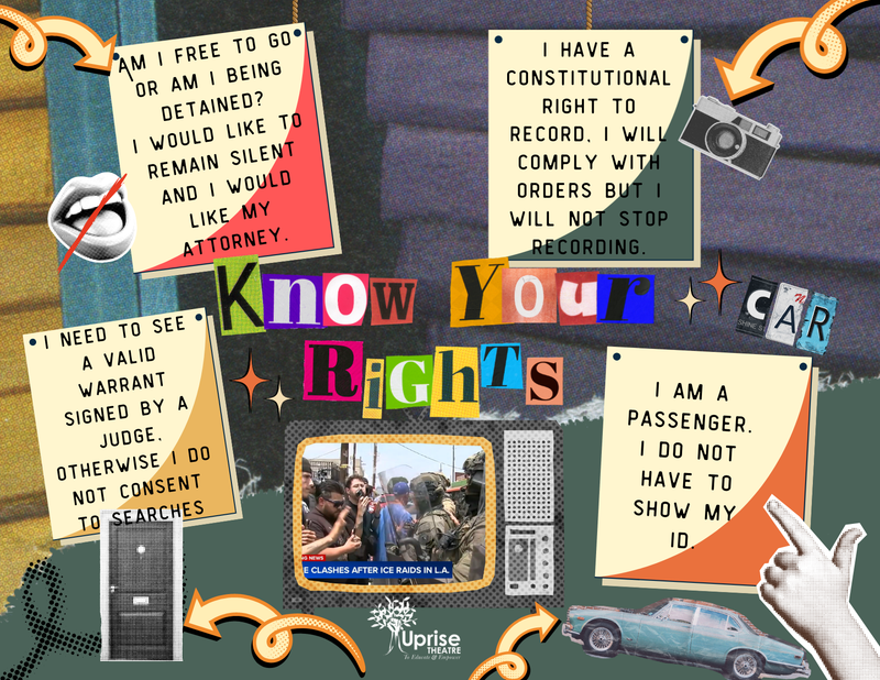 Know Your Rights Postcards