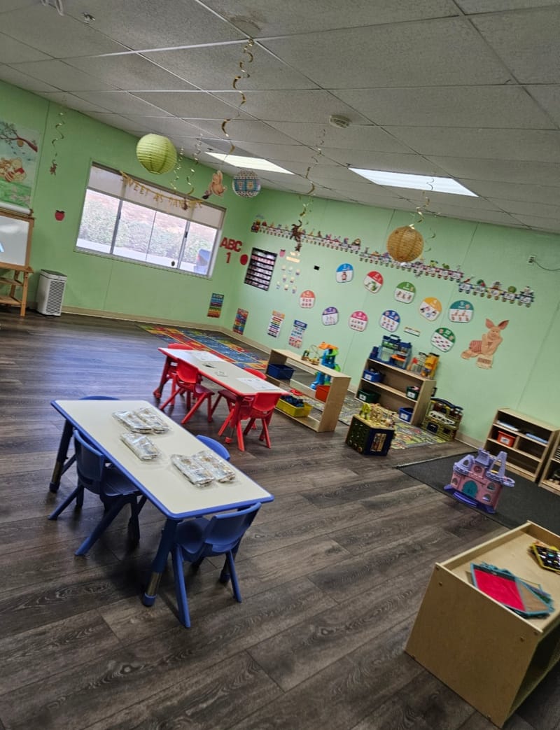 Toddler (18 Months-3 years)