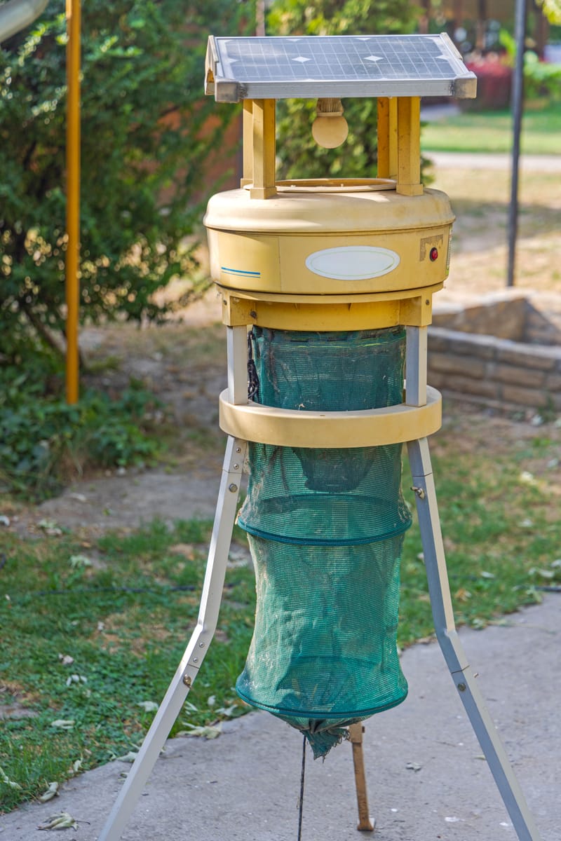 Démoustication à Montpellier pour copropriétés et résidences