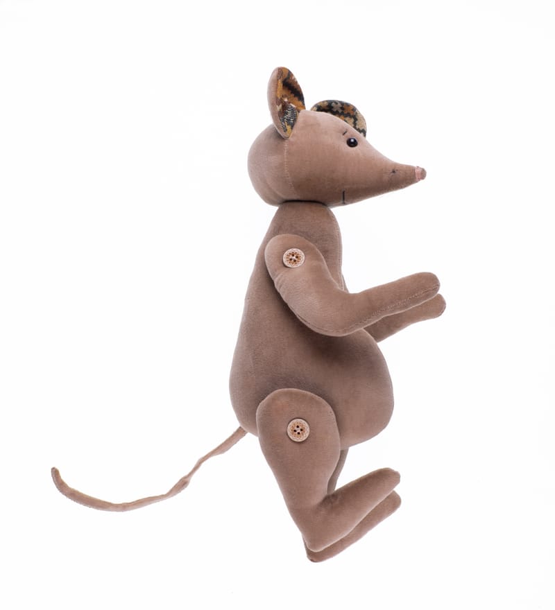 Idées reçues sur les rats et les souris