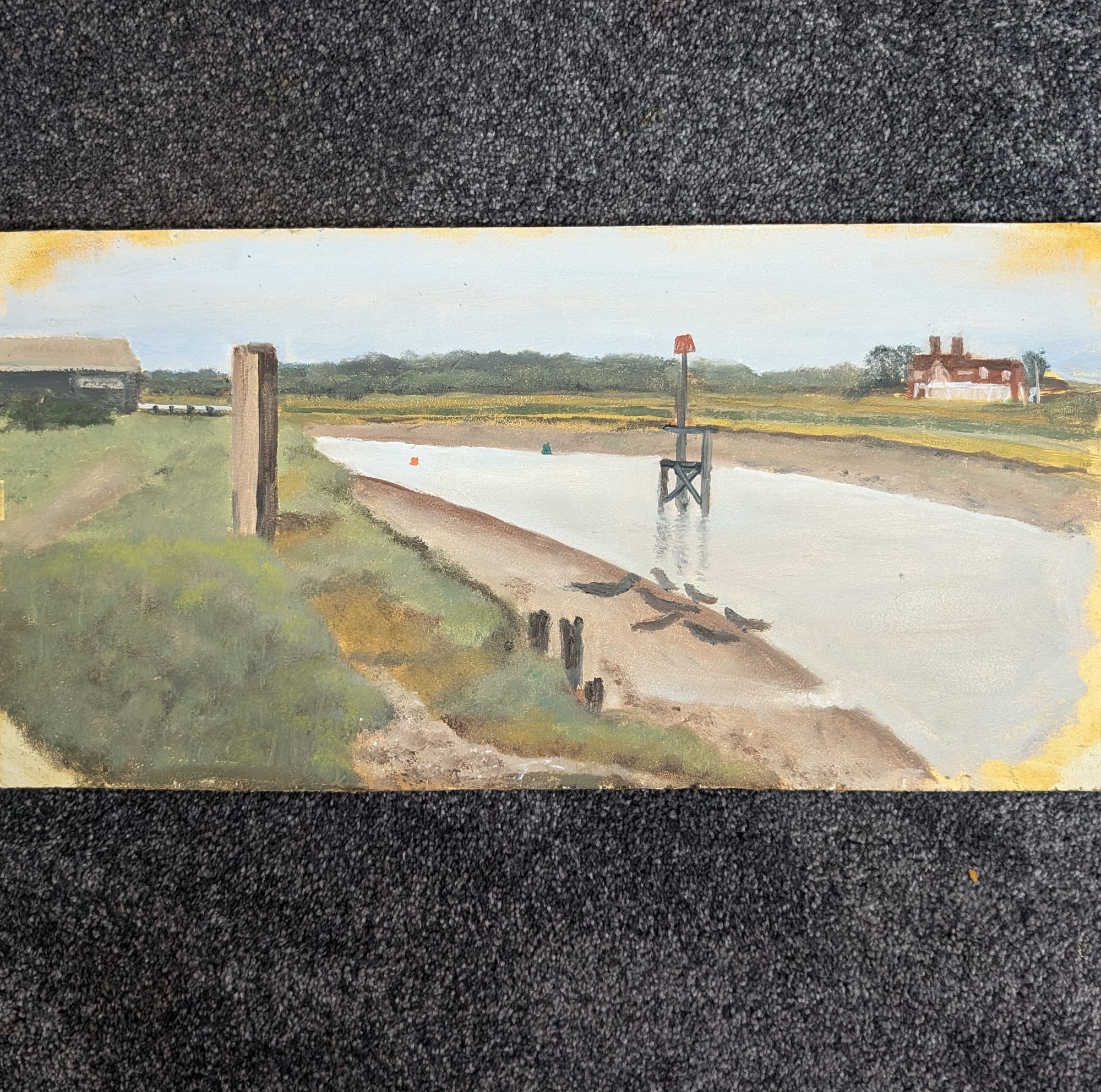 Rye harbour inc Seals
