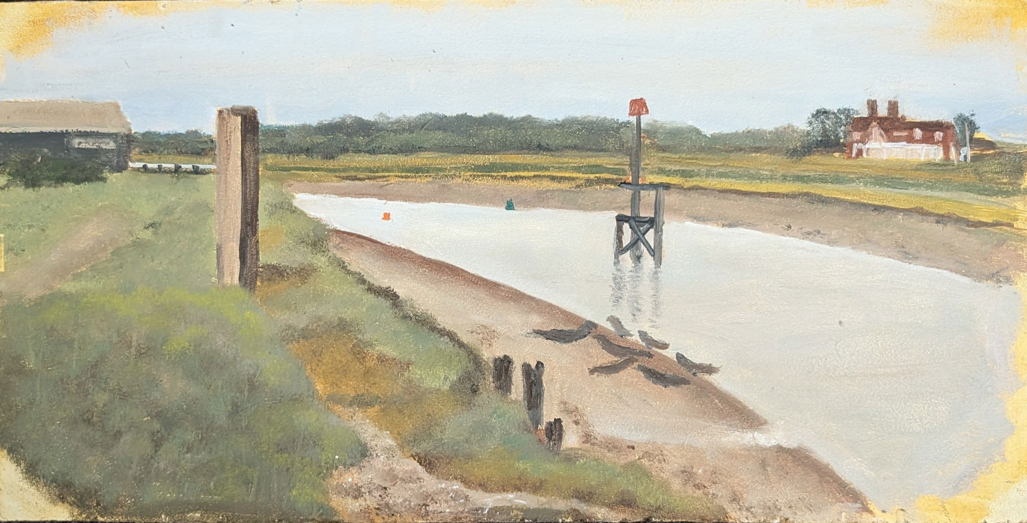 Rye harbour inc Seals