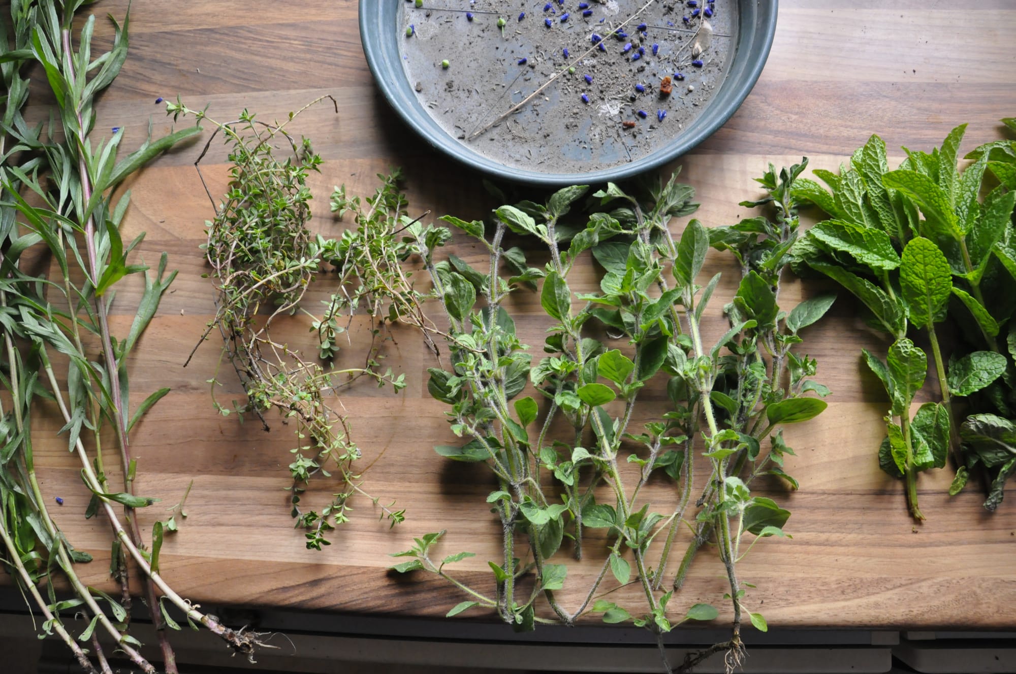 LA CRÉATION DE COMPOST PARTAGé en QPV