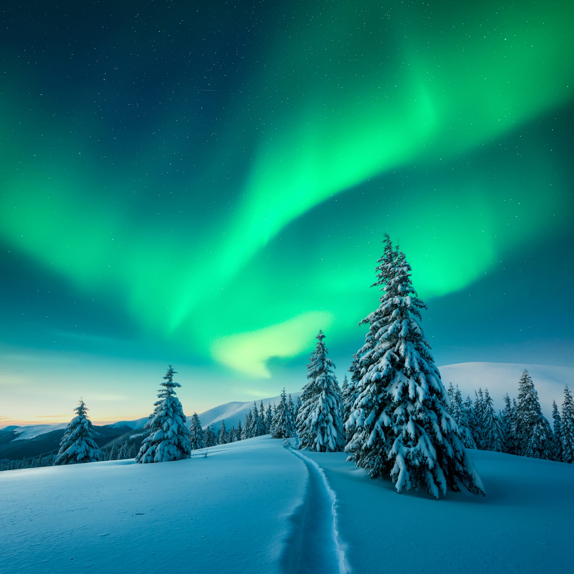 פלאי הבריאה - סרטונים נוספים