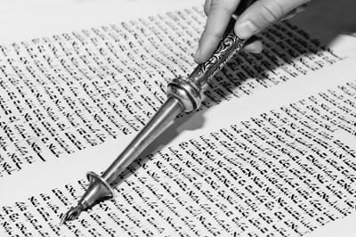 תורה מן השמים חלק ב'